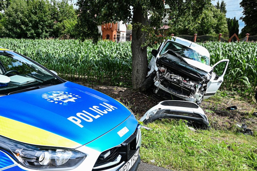 Nie ustąpił pierwszeństwa przejazdu