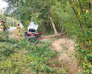 Zjechała z drogi i uderzyła w drzewo