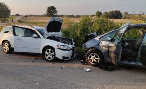 Zdarzenie drogowe pomiędzy miejscowościami Zasiadały i Brzegi